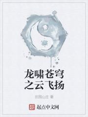 主角龙啸云