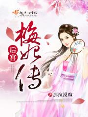 后宫梅妃传讲的什么故事