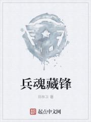 兵魂藏锋免费阅读