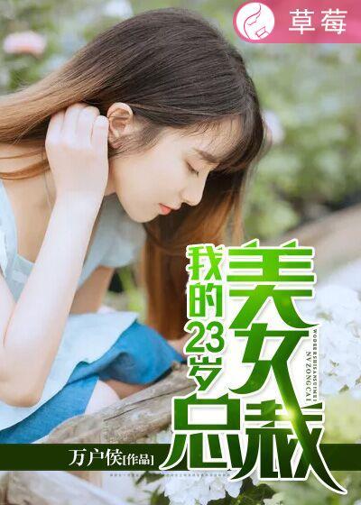我的23岁美女总裁电视剧