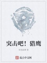 猎鹰突击百科