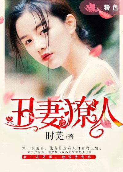 丑妻撩人一总裁追妻难