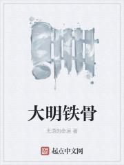 大明铁骨精校