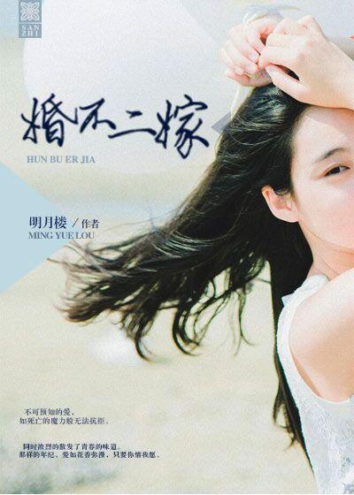 二婚不二昏全文阅读