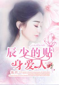 辰少宠妻少夫人