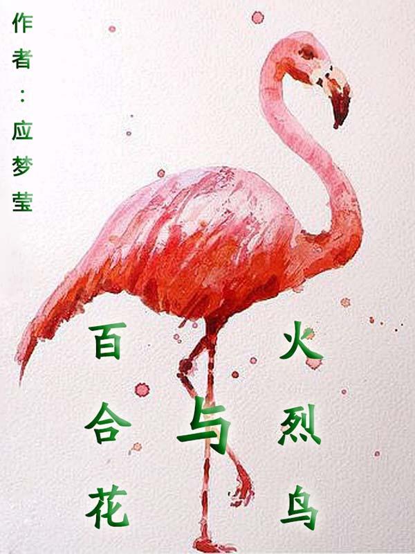 火百合花花语