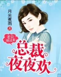 总裁老公别乱来全文免费读