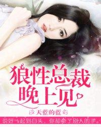腹黑总裁晚上见