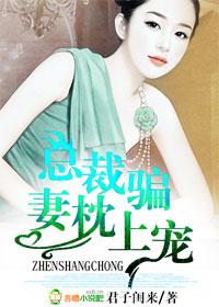 总裁骗妻枕上宠笔趣