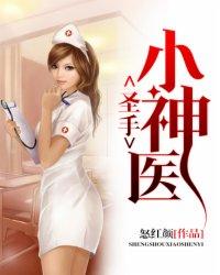 圣手小村医免费阅读