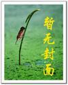 全能戒指奇书网
