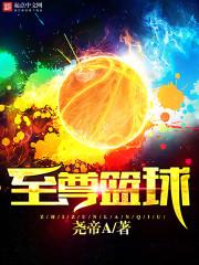 至尊是啥