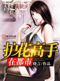 护花高手在都市第一部大结局