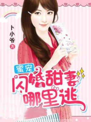 闪婚蜜宠小甜妻免费阅读全文