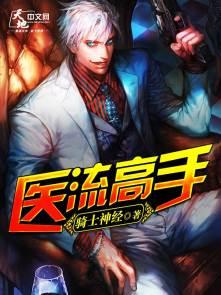 医流高手 骑士神经