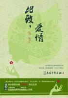 爱情 全文免费阅读