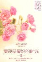 爱你是最好的时光2 番外