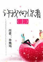 许我向你看续