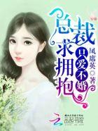 只爱不婚禁欲总裁