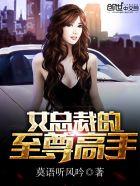 女总裁的至尊高手免费