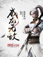 威龙 nbfz