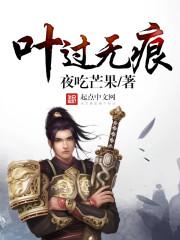 叶落无痕之叶伦篇