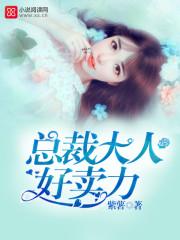 总裁大人好眼熟全文免费