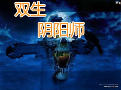 双星之阴阳师什么时候出的动漫