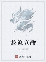 龙象是什么意思