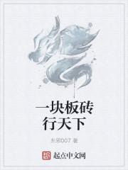 一块板砖揭露
