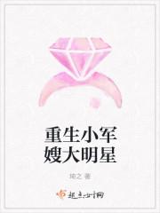 重生小军嫂 作者袅袅墨痕