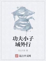 功夫小子!
