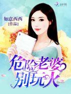 危险妻子网剧
