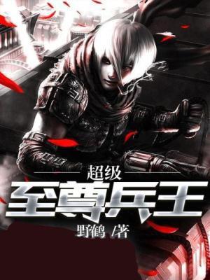 超级至尊兵王苏辰