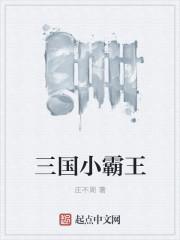 三国小霸王猎于密林者