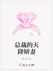 总裁天降娇妻宠文