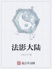 大陆法的优缺点