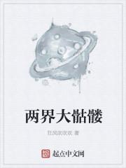 破界骷髅动漫