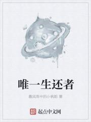 唯一生还者老高