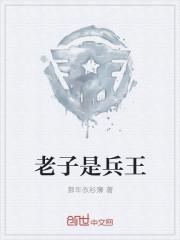 老子是兵王免费