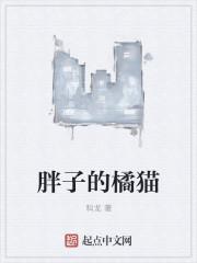 可爱的胖橘猫