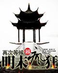 明末疯狂txt精校