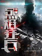 烈焰狂兵苏锐