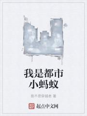 都市蚂蚁概念车视频