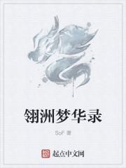 梦华录全集观看免费观看完整版