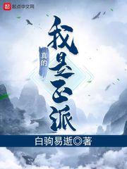 我真的是正派好