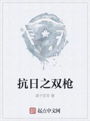 抗日双枪术