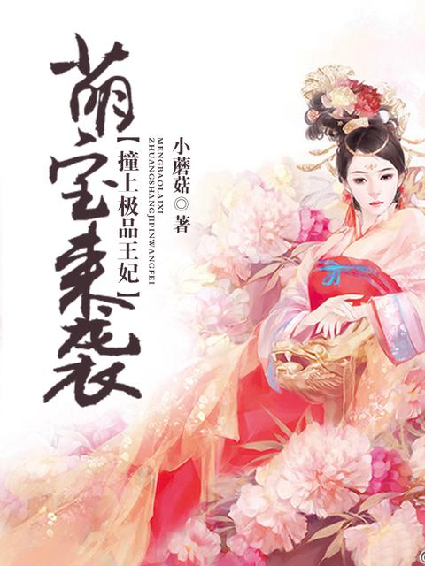 萌宝来袭王爷请接驾