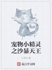 沙暴系神奇宝贝
