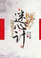 迷心计母仪天下 作者叶小紫